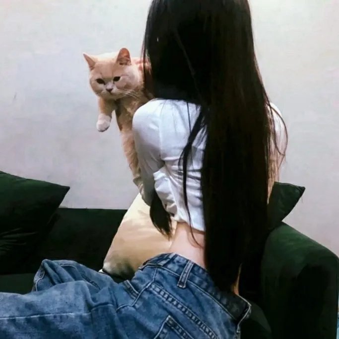非洲边界上的奥东戈